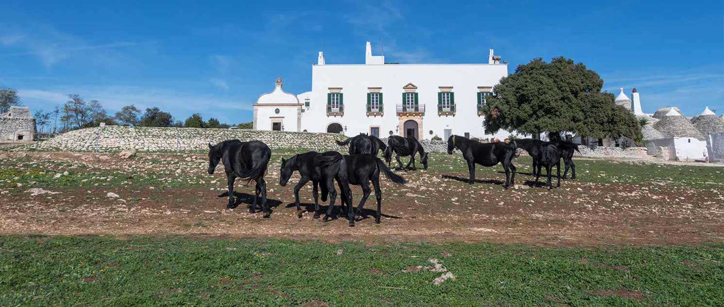 Martina Franca